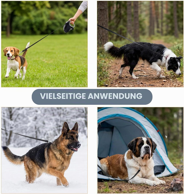 10m Hundeleine, 360° Verhedderungsfreier Rollleine Grosse Hunde,Ausziehleine Hund mit Bremsknopf Und
