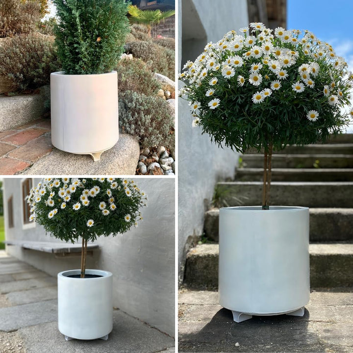 terraced® - 4er Set - Untersetzer Blumentopf – Farbe: Cremeweiss - Rund - 16cm Durchmesser - Materia