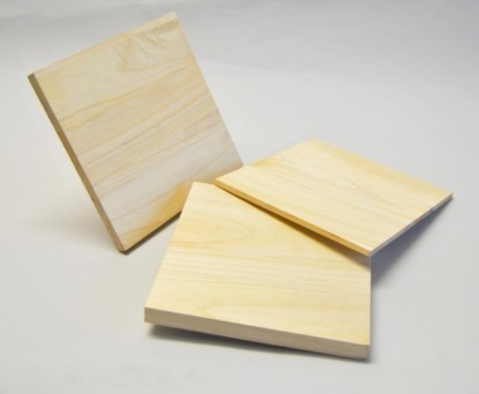 S.B.J - Sportland Einweg Bruchtest Bretter aus Holz ca. 10 mm dick (10er Pack)