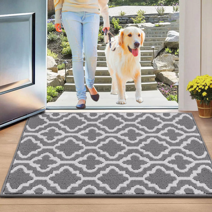 SHACOS Fussmatte Innen 50 x 80 cm Schmutzfangmatte Waschbar Fussmatte Haustür Fussabtreter Innen Tür