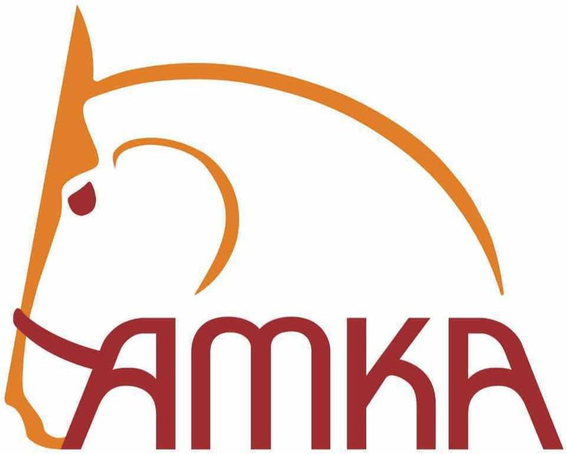 AMKA Hornpacktasche Horn Packtasche Satteltasche Westernsattel Vorderpacktasche