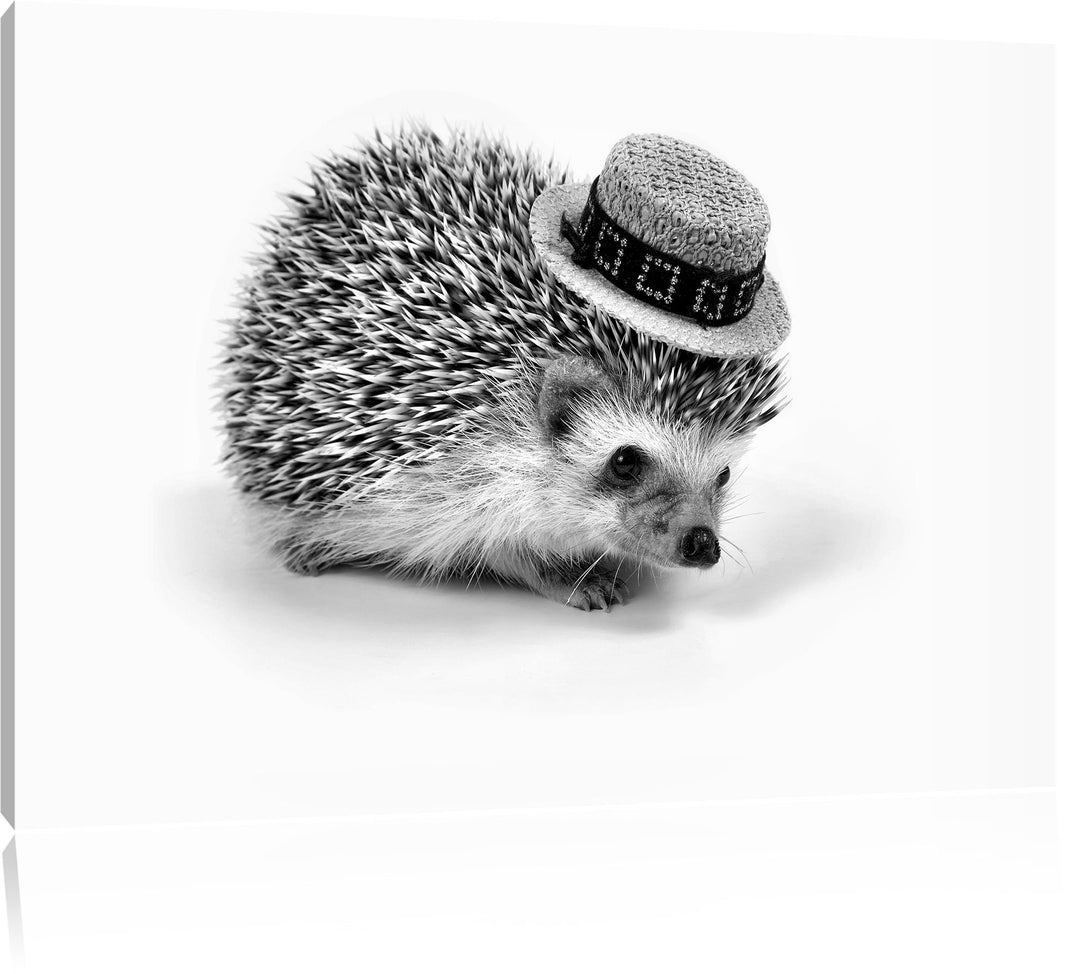 Pixxprint Monocrome, Lustiger Igel mit Hut, Format: 100x70 auf Leinwand, riesige Bilder fertig gerah