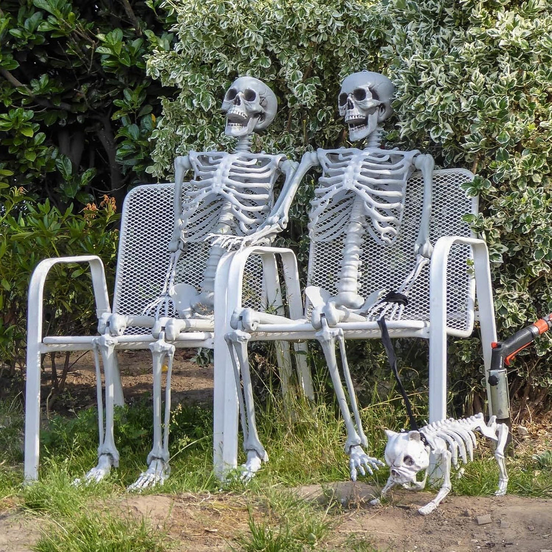 2 Stück Halloween Kunststoff Skelette Realistische Lebensgrösse menschliche Skelette mit beweglichen