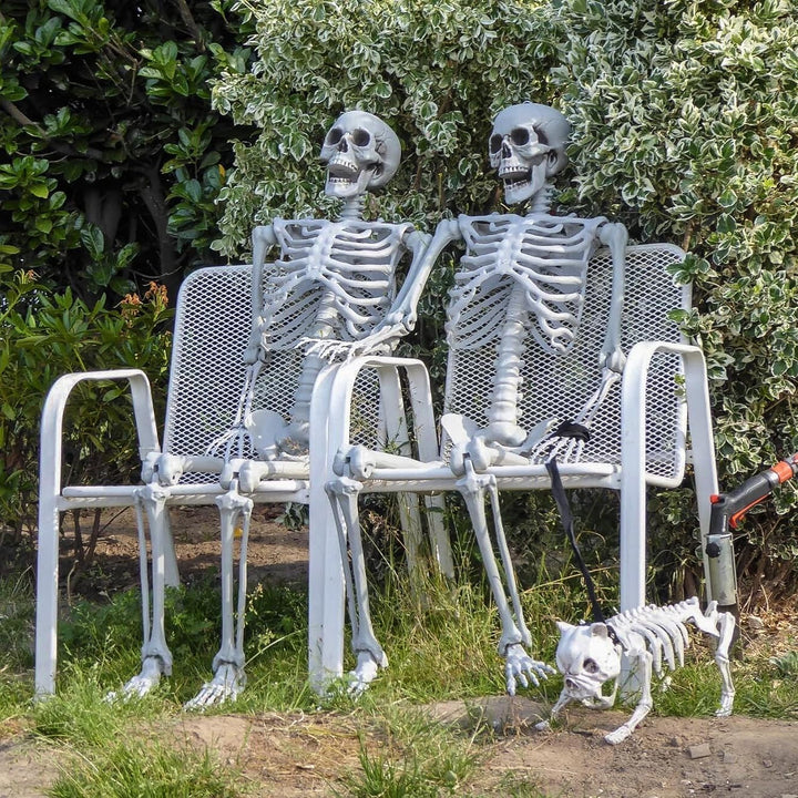 2 Stück Halloween Kunststoff Skelette Realistische Lebensgrösse menschliche Skelette mit beweglichen