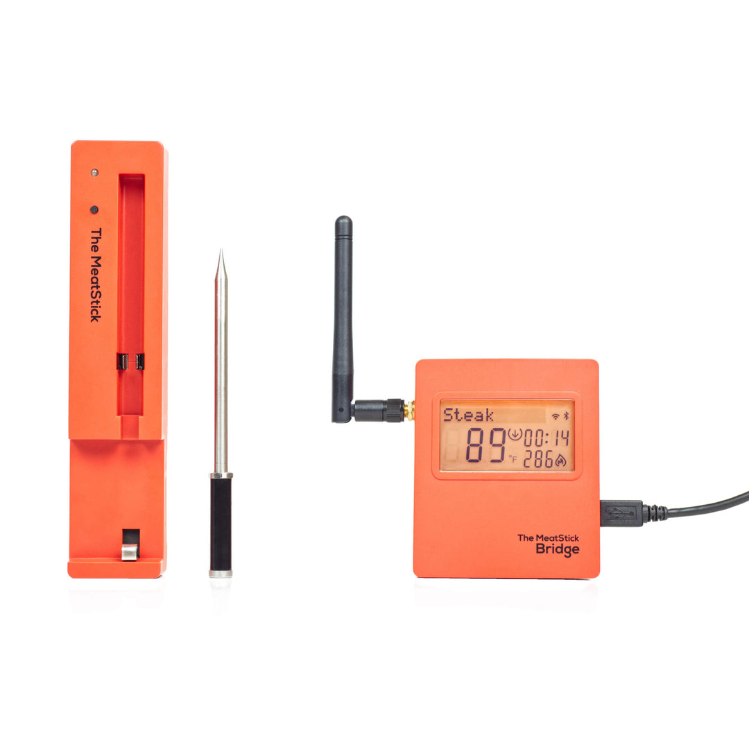 The MeatStick BR651 Set 3: mit WiFi Bridge, Ladegerät und Transporttasche