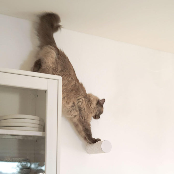 LucyBalu® Jumper LITE Katzen Kratzstamm &amp; Kletterstufe für die Wand | Katzentreppe aus Papierseil fü