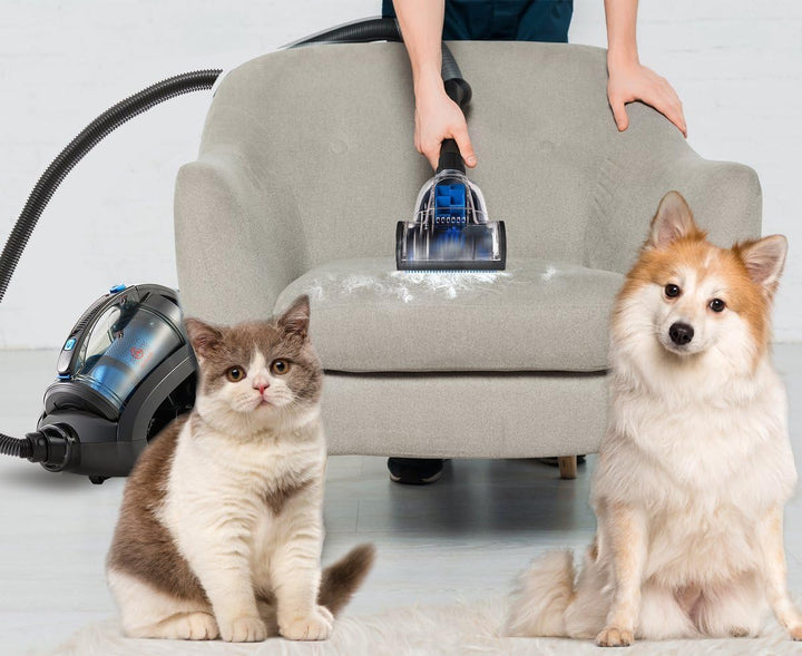 AG AG3100 Bagless Vacuum Cleaner - Vacuum Cleaners - Vacuum Cleaner Bagless - Suitable for Animal Ha