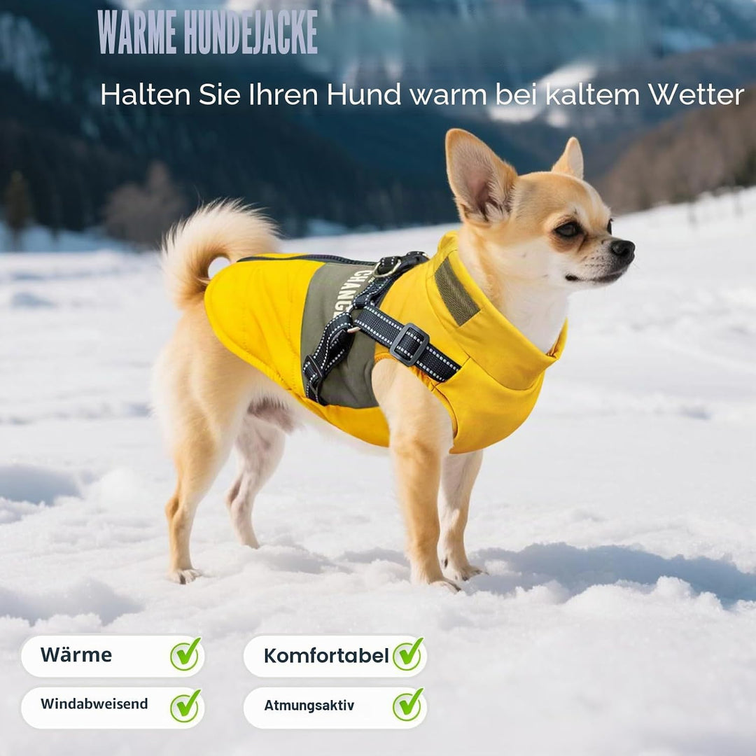 Oslueidy Hunde Winterjacken,Warme Hundemäntel Reflektierend Hundekleidung wasserdichte Welpenweste f