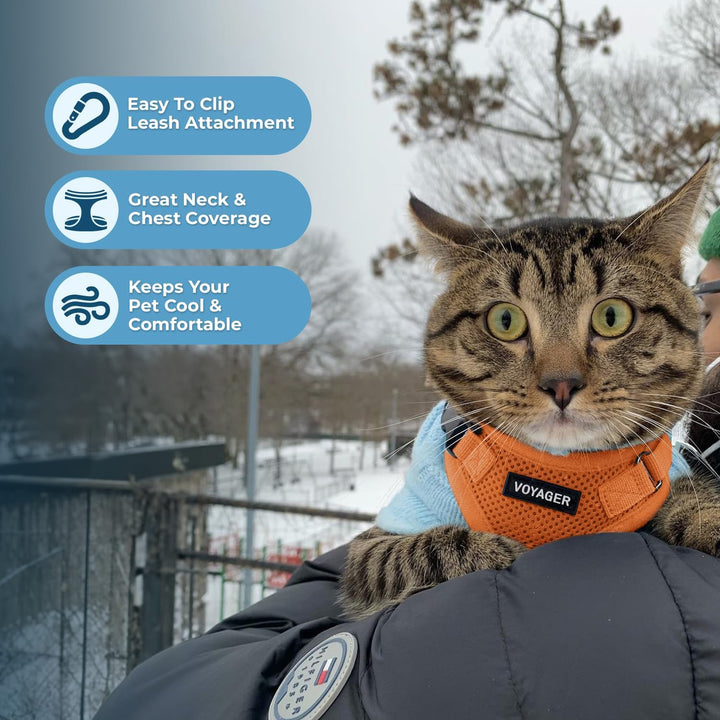 Best Pet Supplies Voyager Step-In Lock Haustiergeschirr – Allwetter-Netz, verstellbares Step-in-Gesc