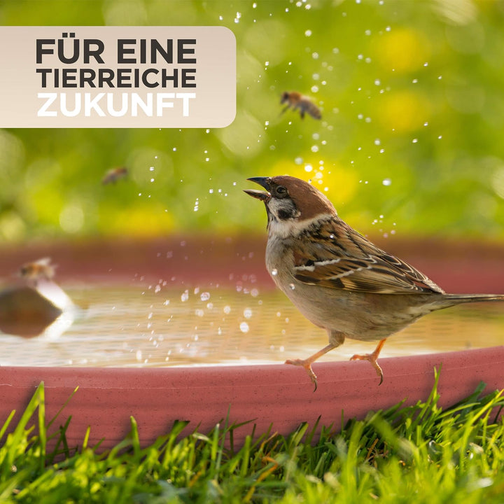 JoDaK Vogeltränke und Insektentränke (Terracotta) Vogelbad stehend gross, Kunststoff frostsicher und