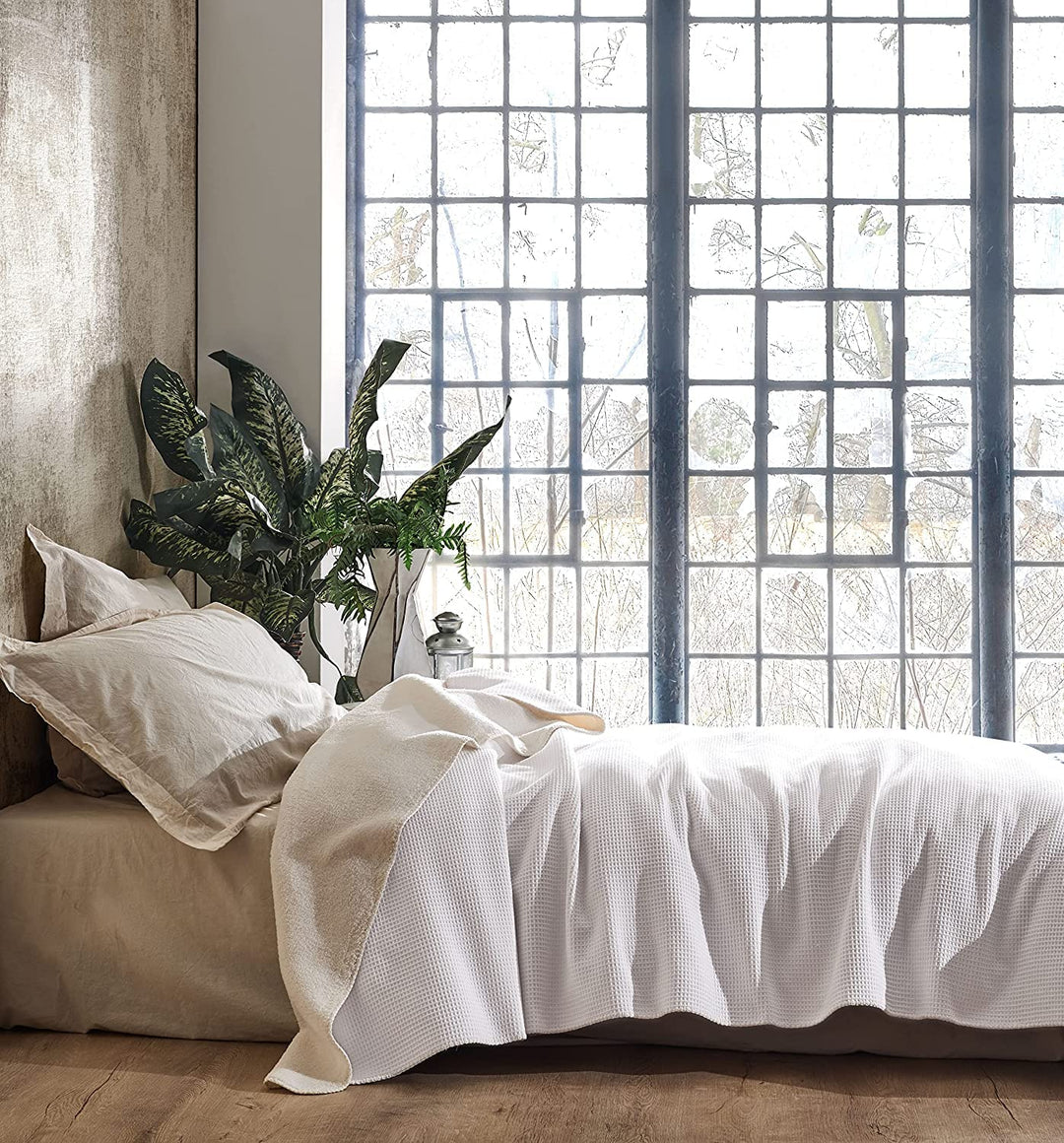 BOHORIA® Kuscheldecke Soft Waffle 130x170cm | Winterdecke flauschig für Sofa, Sessel & Bett | Baum-W