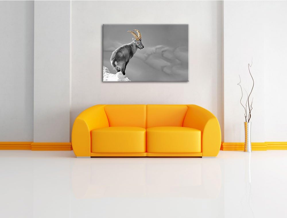 schöner Steinbock im Schnee schwarz/weiss Format: 100x70 auf Leinwand, XXL riesige Bilder fertig ger