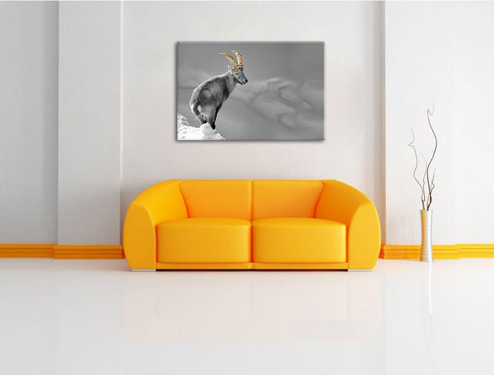 schöner Steinbock im Schnee schwarz/weiss Format: 100x70 auf Leinwand, XXL riesige Bilder fertig ger