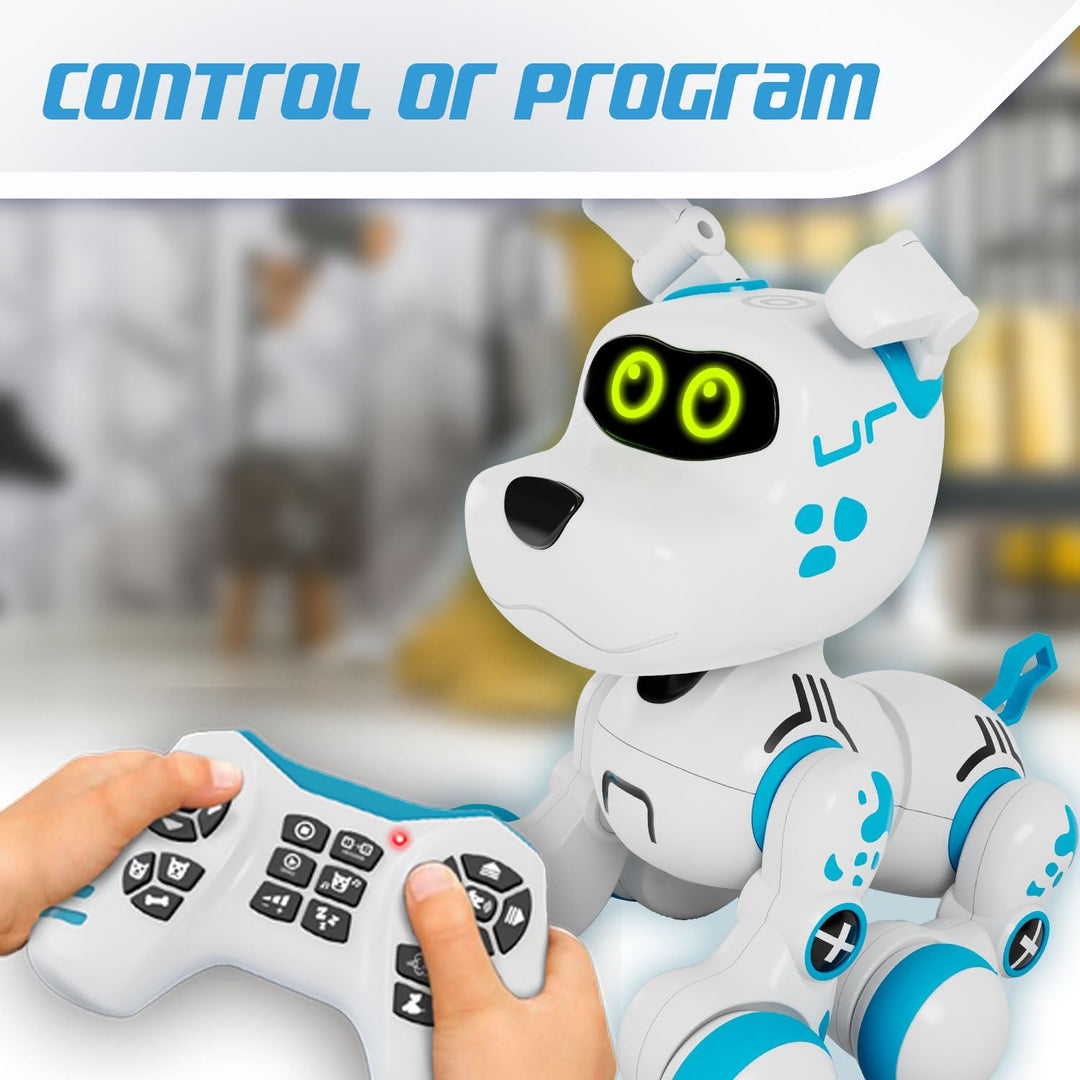 Xtrem Bots - Bobby | Roboter Hund | Roboter Hund Kinder | Roboterhund | Interaktiver Hund | Spielzeu