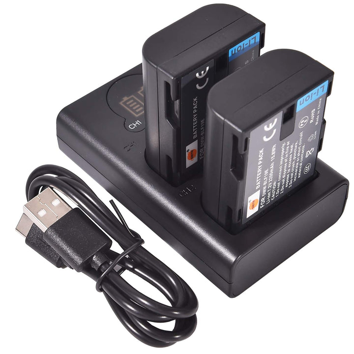 DSTE 2 x DMW-BLF19E Ersatzakku + Dual USB-Ladegerät mit LCD-Display, kompatibel mit DMW-BLF19 und Pa