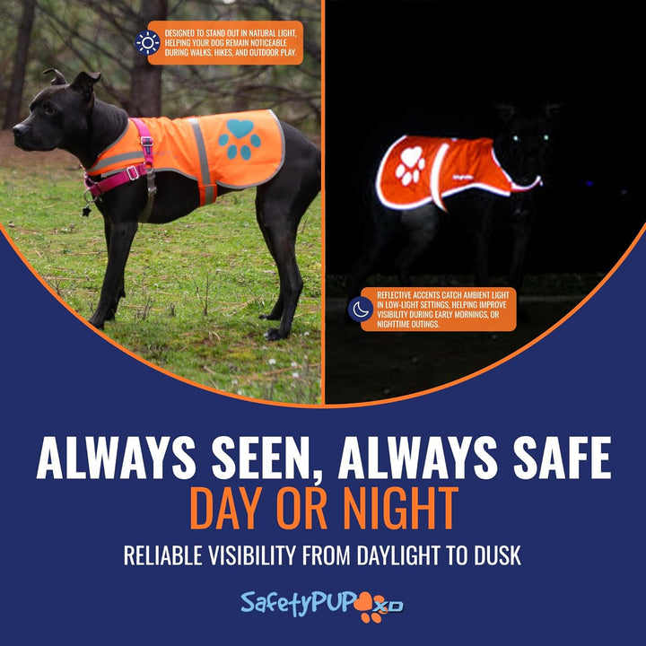 SafetyPUP XD Hund Warnweste, Grössen passen Hunde 14 lbs bis 130 lbs Orange Mittel, Orange Mittel