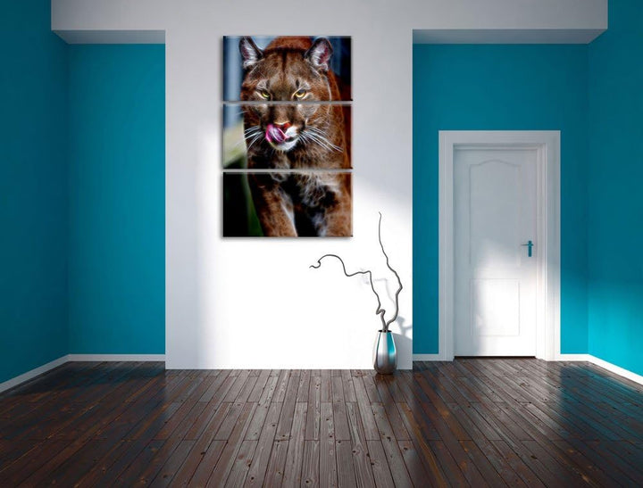 anmutiger Puma Spezial 3-Teiler Leinwandbild 120x80 Bild auf Leinwand, XXL riesige Bilder fertig ger
