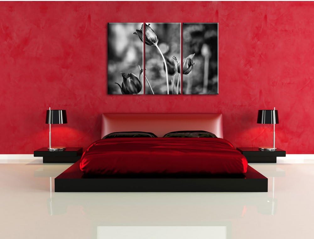 Pixxprint Tulpen im Abendlicht als Leinwandbild/Grösse: 3 Teilig (120x80) cm/Wandbild/Kunstdruck/fer
