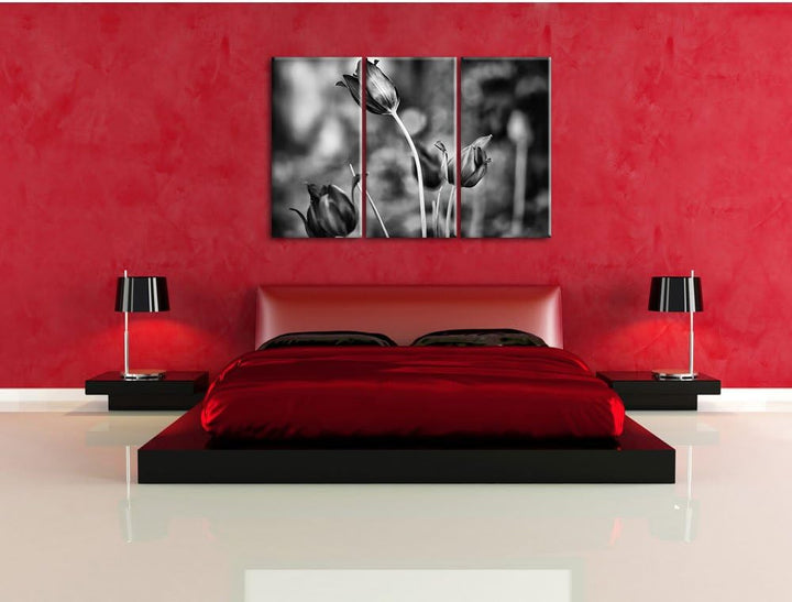 Pixxprint Tulpen im Abendlicht als Leinwandbild/Grösse: 3 Teilig (120x80) cm/Wandbild/Kunstdruck/fer