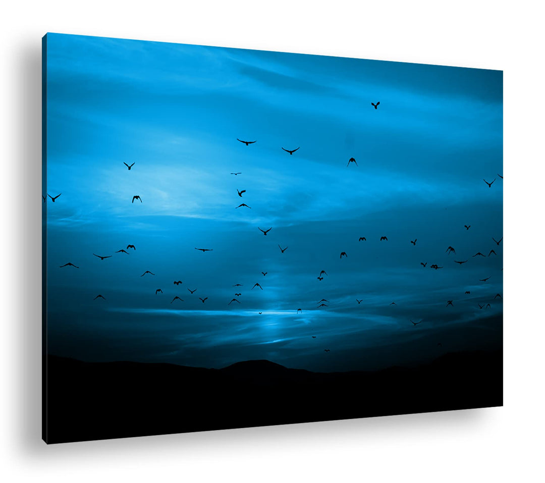 deyoli Vögel fliegen in den Sonnenuntergang Format 80x60 Effekt: Monocrome Blau als Leinwandbild, Mo