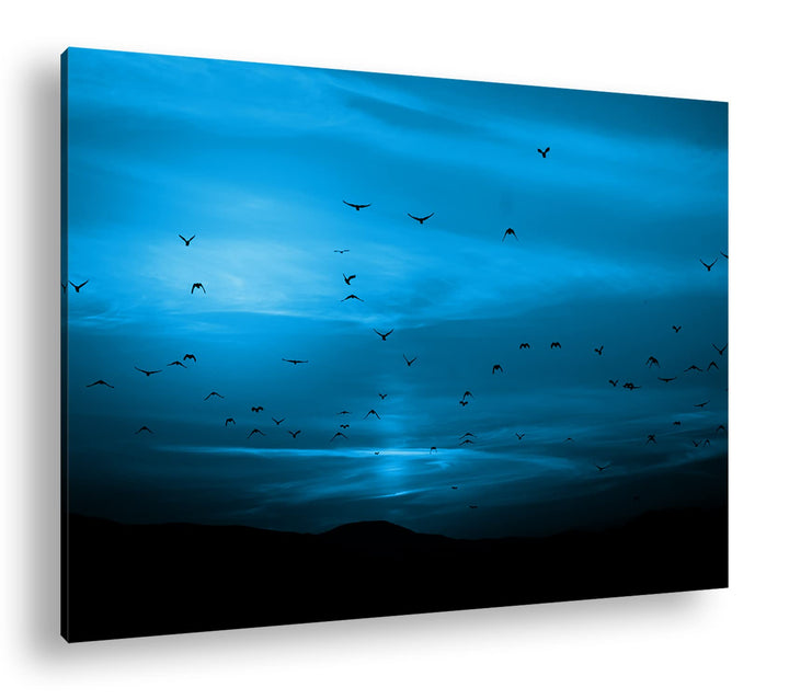 deyoli Vögel fliegen in den Sonnenuntergang Format 80x60 Effekt: Monocrome Blau als Leinwandbild, Mo