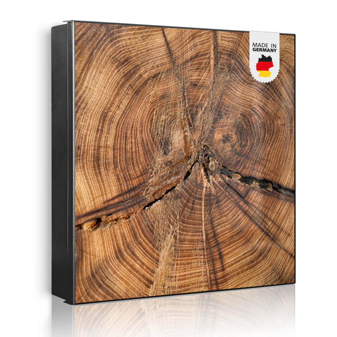 banjado® Grosser Schlüsselkasten Glas/Schlüsselbox 30cm x 30cm mit 50 Haken - Motiv Jahresringe/Schl
