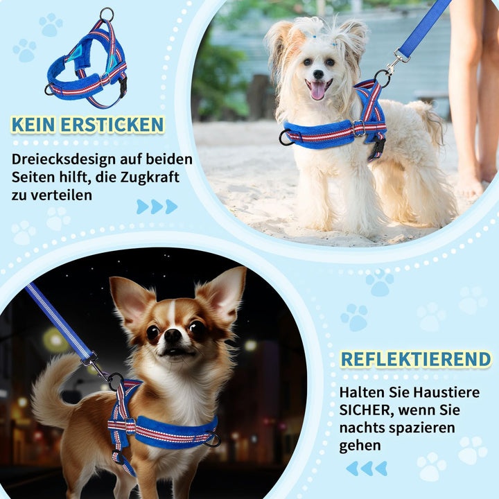 Eyein Hundegeschirr mit Leine für mittelgrosse Kleine Hunde, Weich gepolsterter No-Pull Brustgeschir