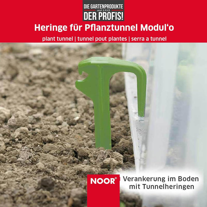 NOOR Pflanztunnel Modul'o 30, 78x29x28 cm I Mini-Gewächshaus zur sicheren Anzucht von allen Pflanzen