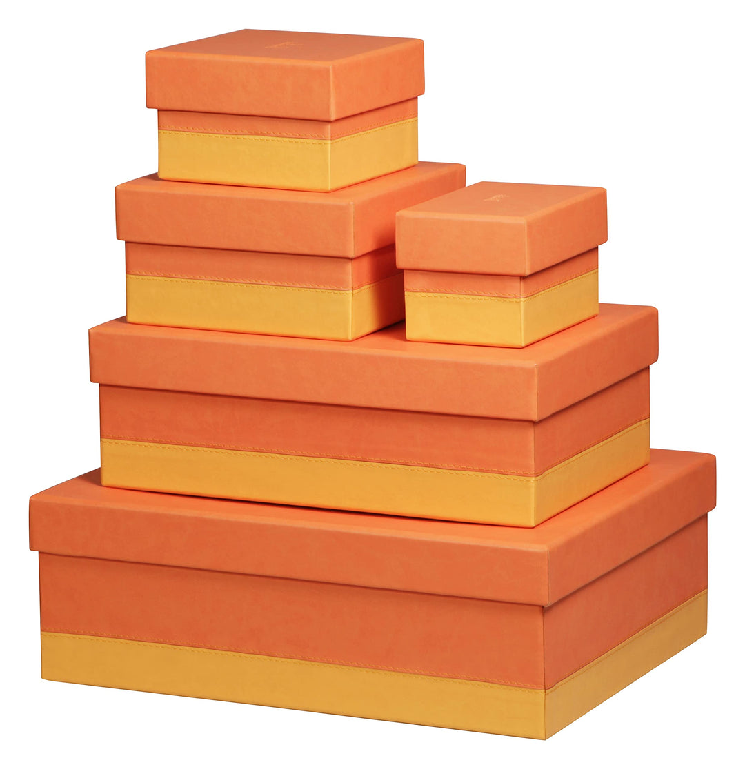 Rhodia 318982C Set mit 5 Boxen (aus italienischem Kunstleder, elegant und praktisch, ideal für Ihre
