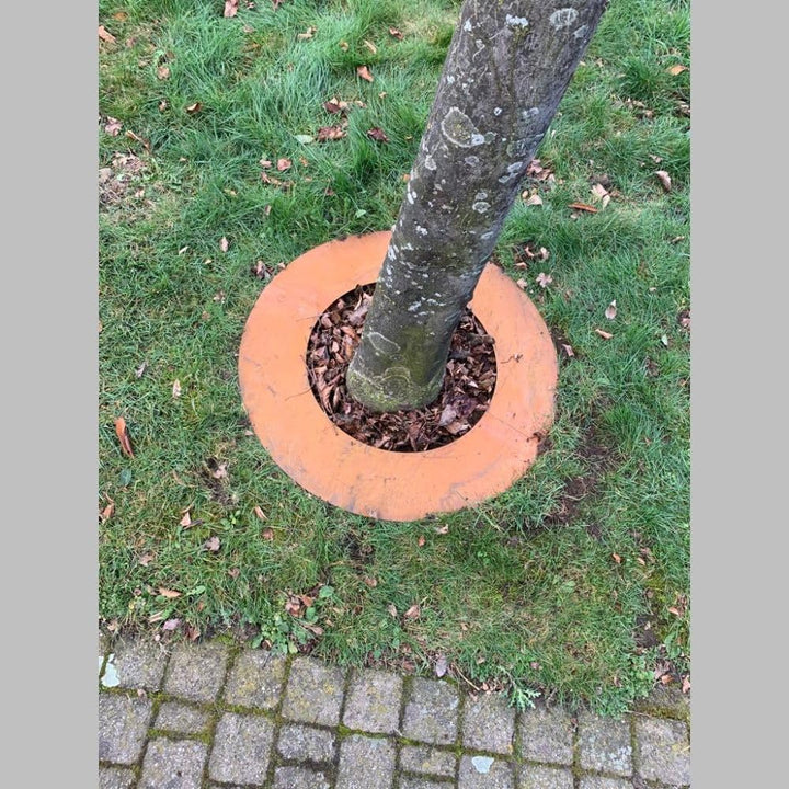 Baumring Cortenstahl Edelrost Ø50 cm Ø30 cm innen – Baumschutz & Gartendeko rost Aussendurchmesser 5