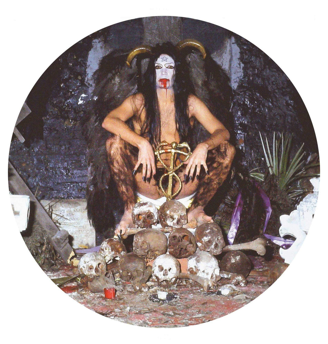 In Death Of Steve Sylvester [Picture Disc], Vinyl