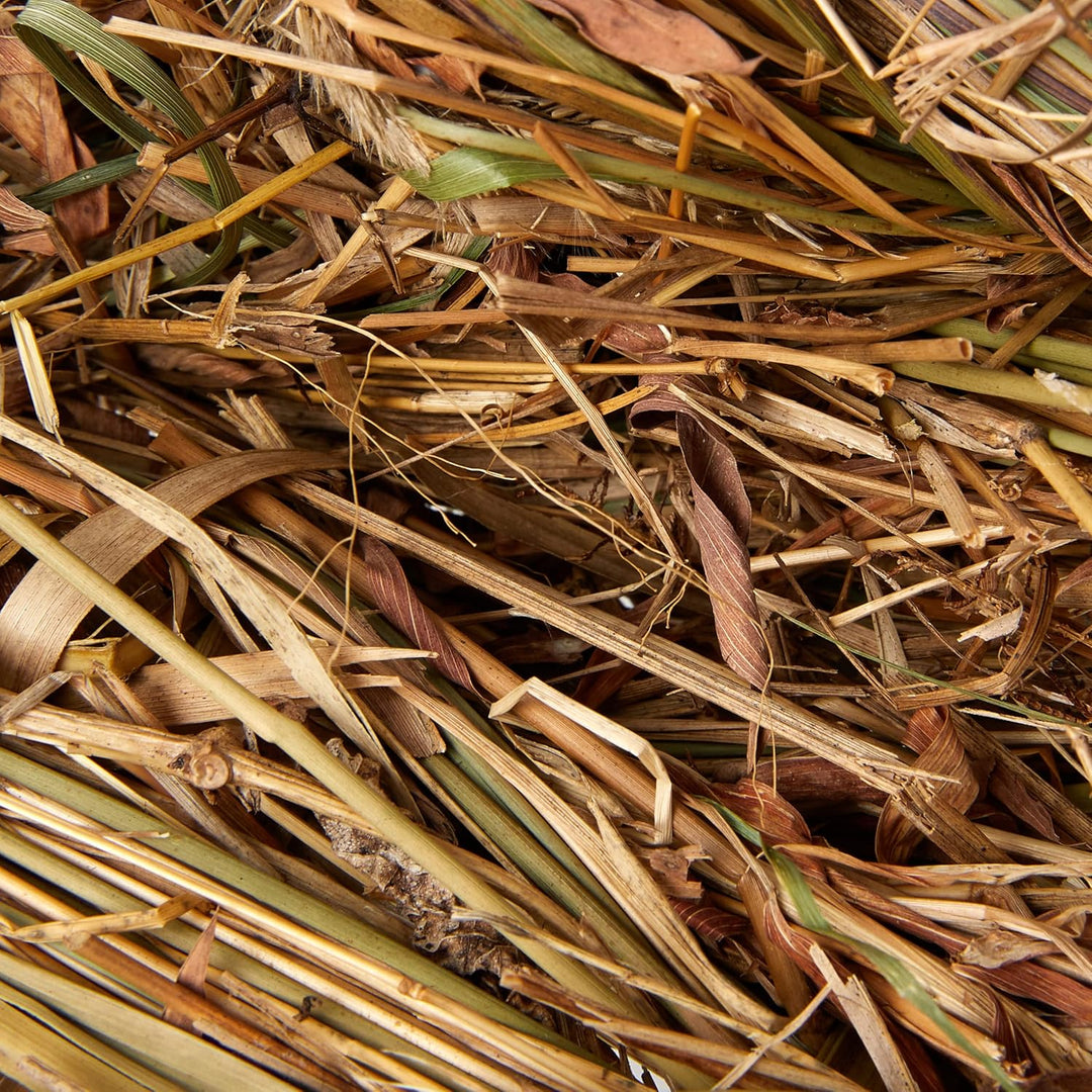 TRIXIE 61153 Grasbett, Kaninchen, 33 × 12 × 26 cm (Packung mit 3) 1 Stück (3er Pack), 1 Stück (3er P