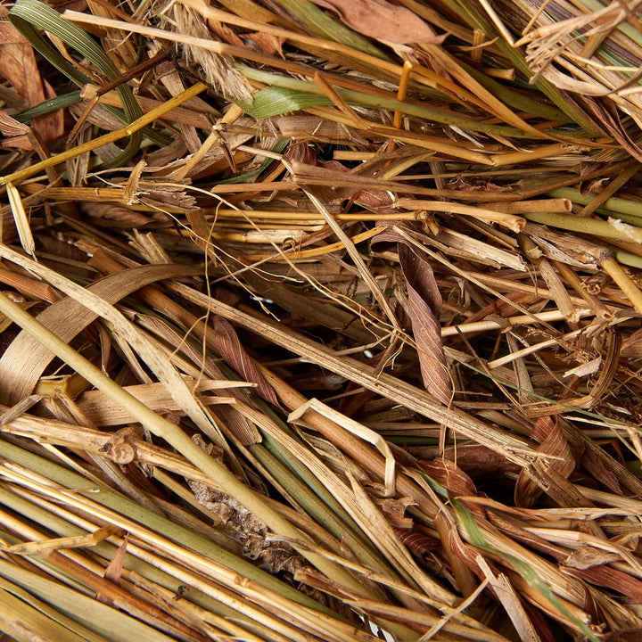 TRIXIE 61153 Grasbett, Kaninchen, 33 × 12 × 26 cm (Packung mit 3) 1 Stück (3er Pack), 1 Stück (3er P