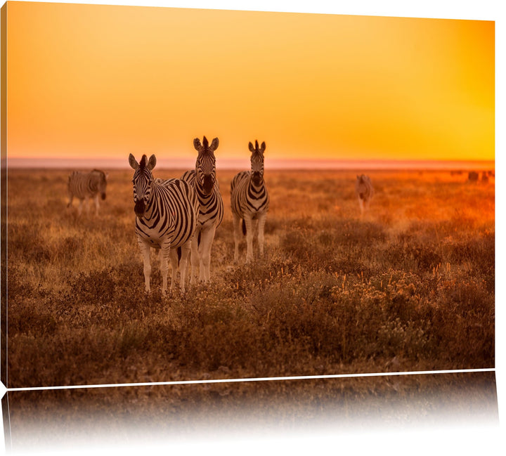 Zebra in der Savanne Format: 100x70 auf Leinwand, XXL riesige Bilder fertig gerahmt mit Keilrahmen,
