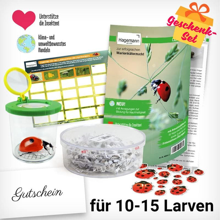 Hagemann Zuchtset Marienkäfer