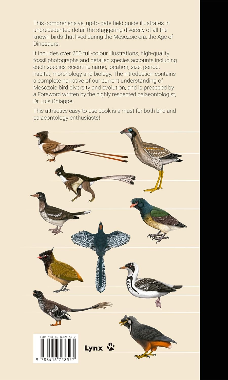 Birds of the Mesozoic: An Illustrated Field Guide, Taschenbuch