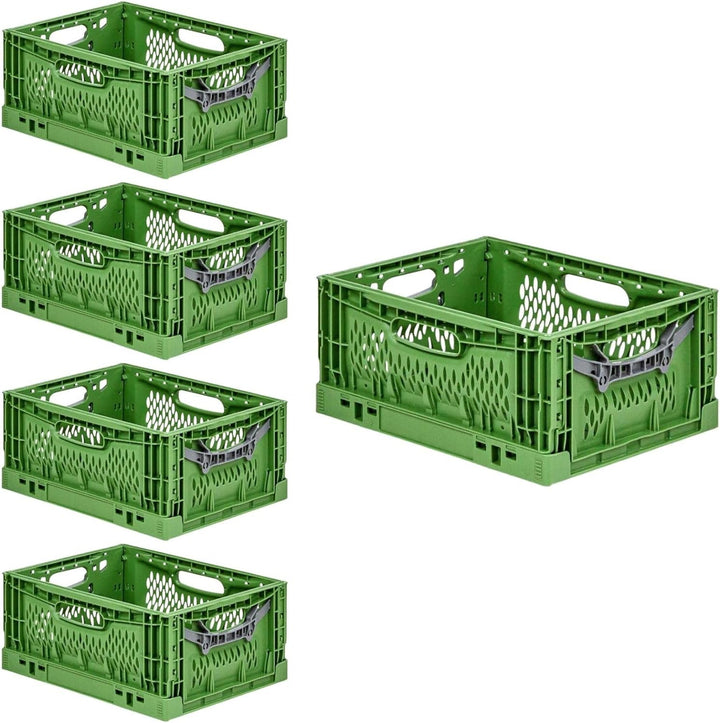 PROREGAL SuperSparSet 5x Stabile Profi-Klappbox Chameleon in Industriequalität | HxBxT 18x30x40cm |