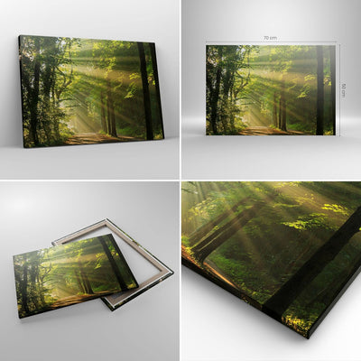 Bilder auf Leinwand Wald Baum Natur Leinwandbild mit Rahmen 70x50cm Wandbilder Dekoration Wohnzimmer