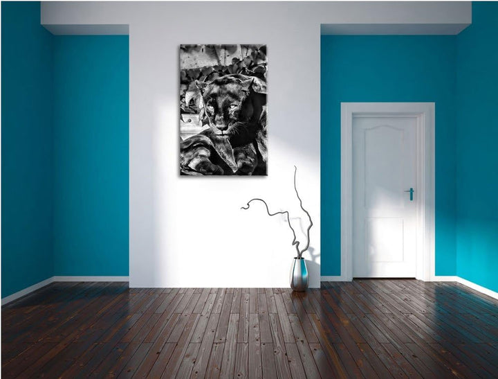 Pixxprint Monocrome, schwarzer Panther, Format: 100x70 auf Leinwand, 100x70