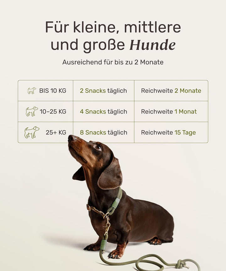 mammaly 12-in-1 Bierhefe Leckerli für deinen Hund - Super Nature Protect 60 Snacks (175g) - mit u. a
