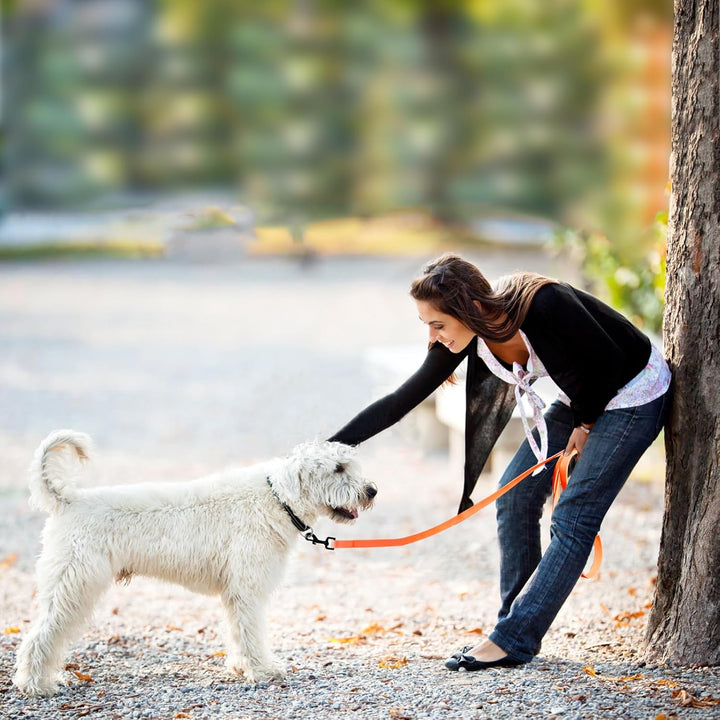 Schleppleine für Hunde, Schleppleine 5m/10m/15m/20m mit Handgriff und D-Ring, Wasserdicht und Leicht