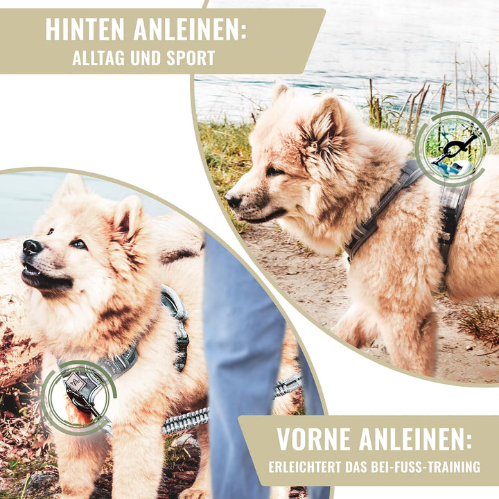 ne&amp;no® Hundegeschirr mit passenden Ruckdämpfer [Developed by NE&amp;NO] Hunde Geschirrset | Brustgeschir