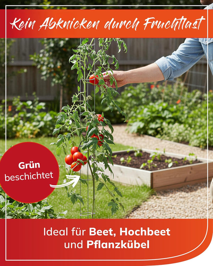 5 Stück - bellissa Tomatenturm - Tomatensäule - Rankhilfe für Tomaten und Gurken - Stütze zum Pflanz