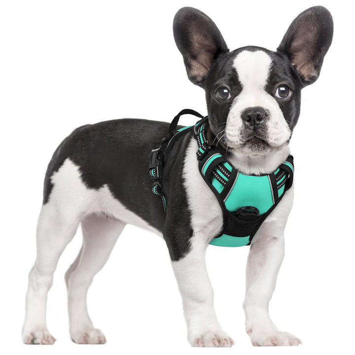 rabbitgoo Hundegeschirr Mittelgrosse Hunde Anti Zug Geschirr Hund mit Kontrolle No Pull Verstellbar