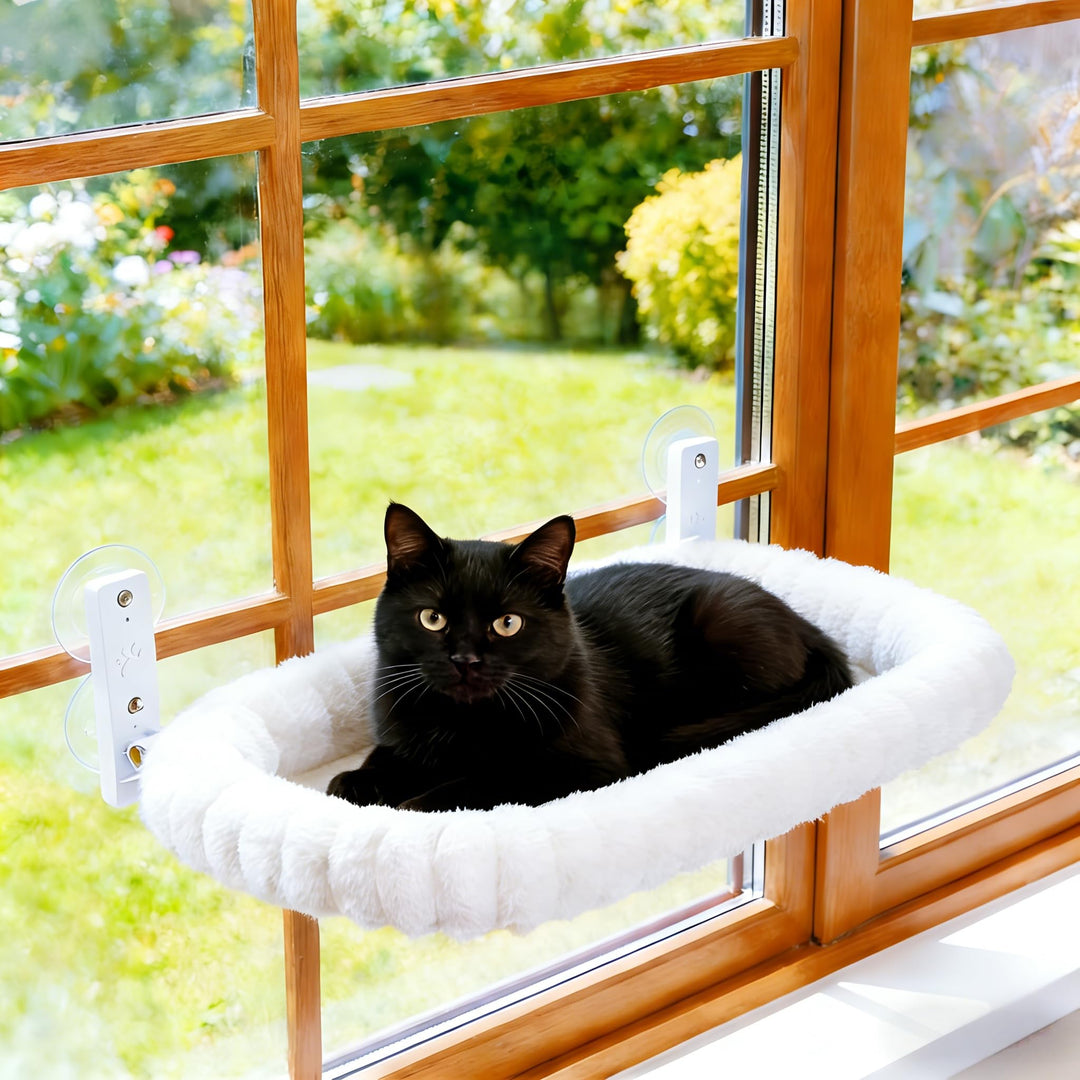Katzen Fensterliege Faltbar mit 4 Saugnäpfen – Stabiles Katzenbett &amp; Hängematte fürs Fensterbrett bi