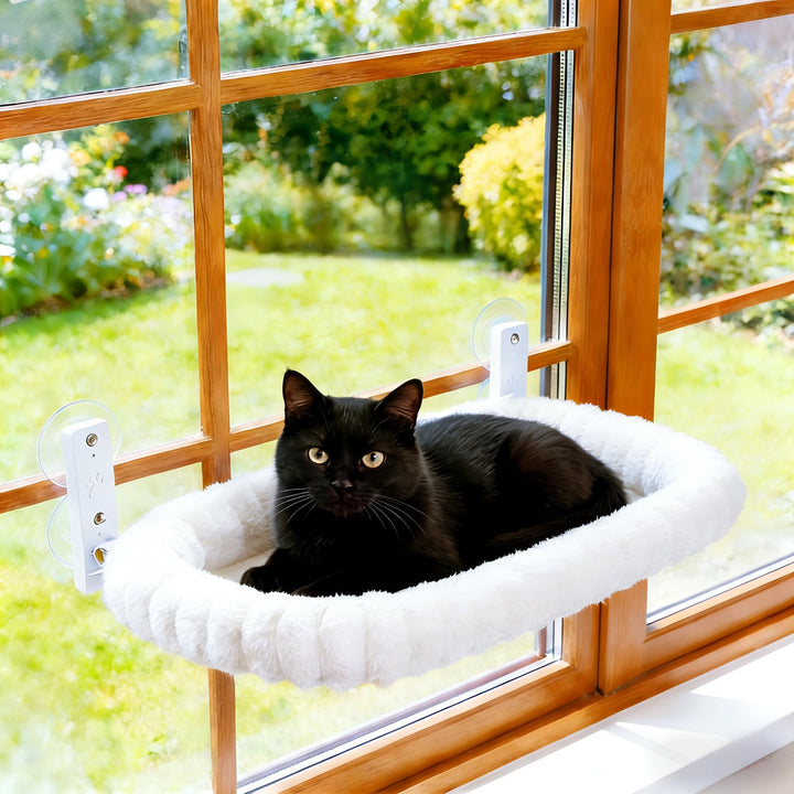 Katzen Fensterliege Faltbar mit 4 Saugnäpfen – Stabiles Katzenbett &amp; Hängematte fürs Fensterbrett bi