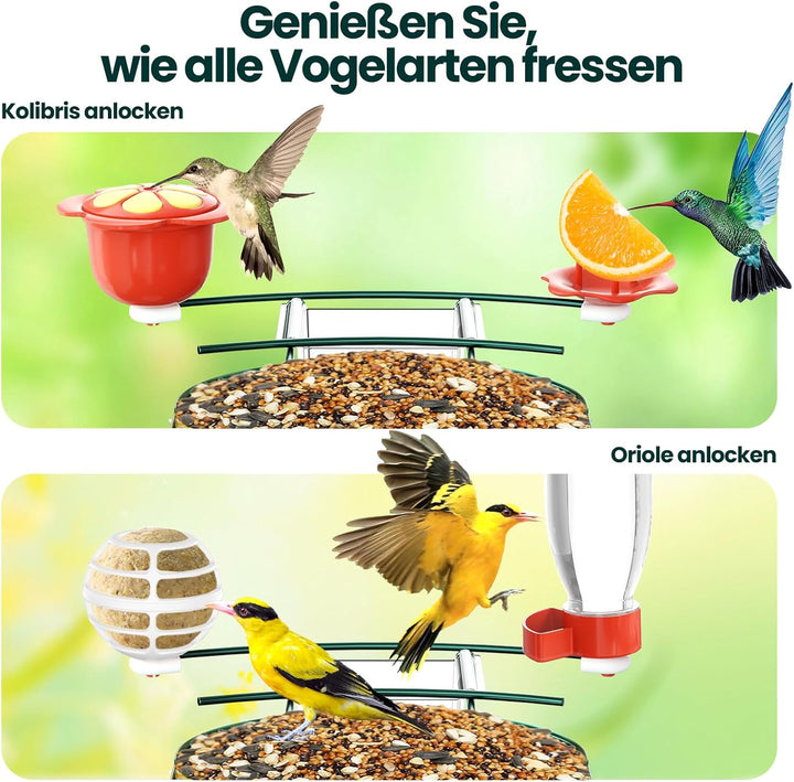 SOLIOM Vogelhaus mit Kamera,Vogelfutterspender für den Hinterhof, Vogelfutterhaus mit Video Aufnehme