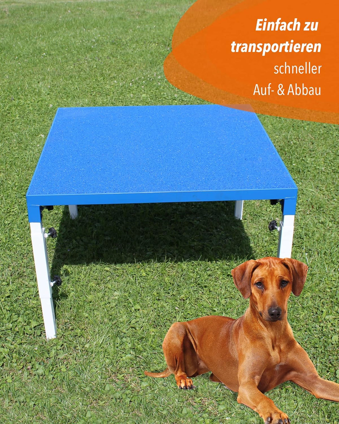 Agility-Tisch für Hunde – FCI-konform &amp; höhenverstellbar – rutschsicher &amp; robust – 90×90cm – blau