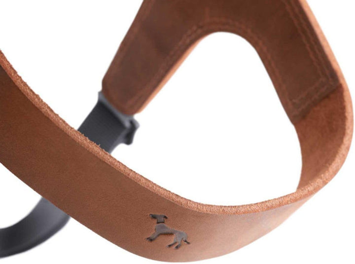 Hunter Hundegeschirr DIMARO, Farbe: Cognac, weiches & Robustes Rindsleder, hervorragende Passform, l