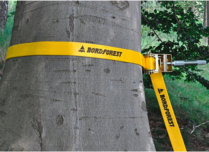 Nordforest Gurt-Stammpresse Bär - Mehr Sicherheit beim Baumfällen - Gurtlänge 4 m - Bruchlast 20 to